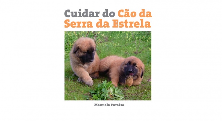 Cuidar do Cão da Serra da Estrela