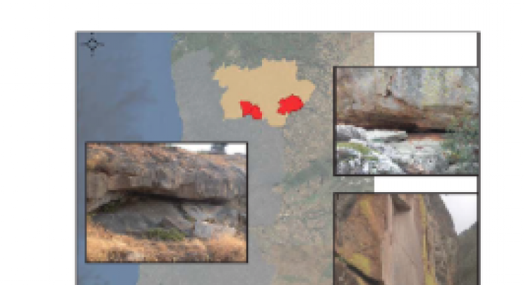 Shelters with cave paintings of Trás-os-Montes and Alto Douro :Pala Pinta, Penas Róias and Cahão of Rapa