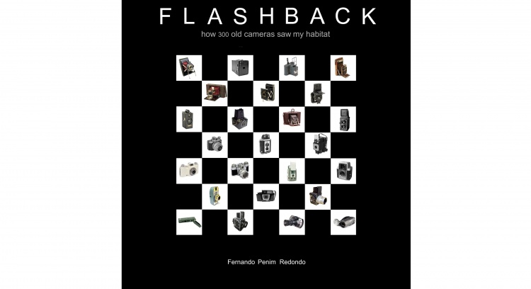 FLASHBACK BOOK