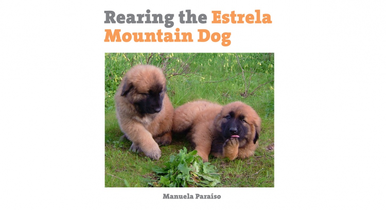 Rearing the Estrela Mountain Dog