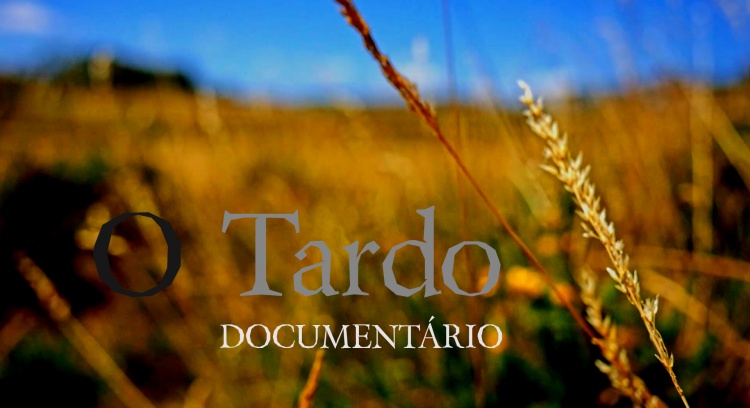 O Tardo - Documentário