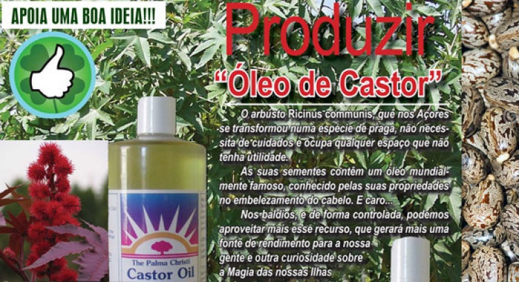 Fight Poverty, make use of our recources: Castor Oil (Azores)