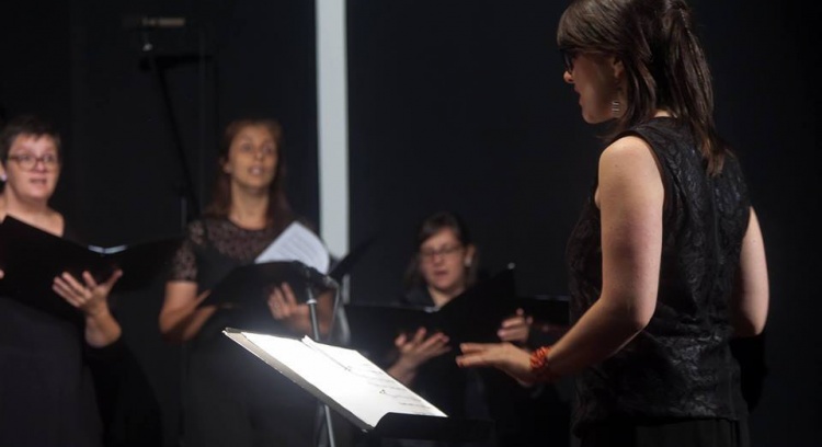 Direcção: Limerick | Leva a Marta à 38th Choral Conducting Summer School da AOIC