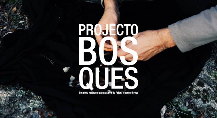 Projecto Bosques - A new horizon for Serra do Feital, Vilares and Broca