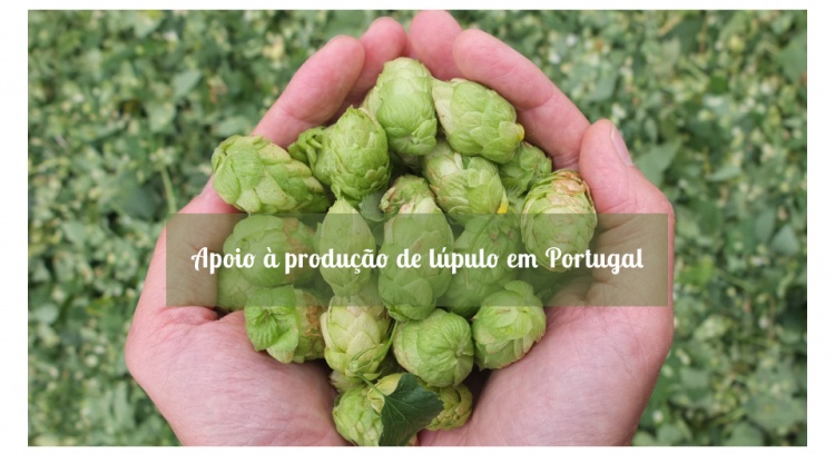  Support the hop production in Portugal