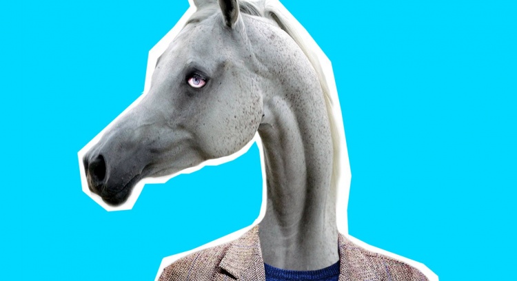 Reminiscências de um homem cavalo