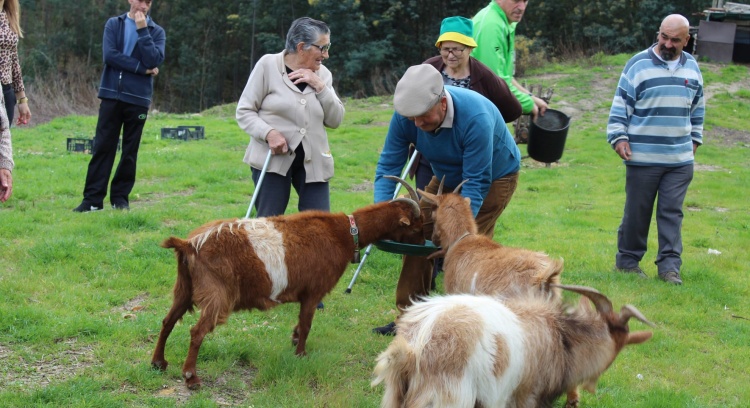 Rebanho Comunitário de Cabras sapadoras da aldeia de Miro muito mais que um lugar