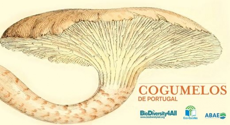 Cogumelos de Portugal