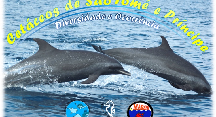 Cetacean monitoring in São Tomé and Príncipe