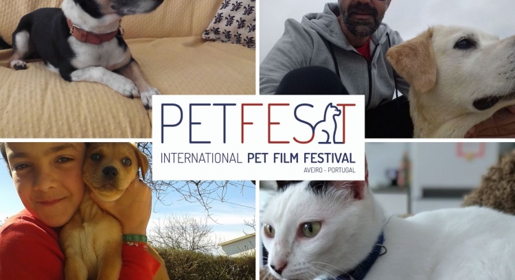 PETFest Festival Internacional de Cinema sobre Animais de Estimação