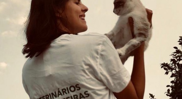 Tempo Doado Animal Cuidado