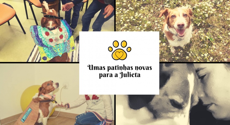 A NEW PAWS FOR JULIETA